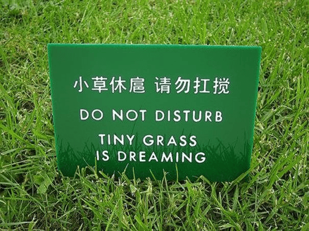 Best "incorrect" translation I've ever seen