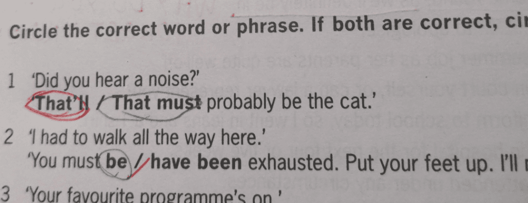Why do we use that'll in question 1?